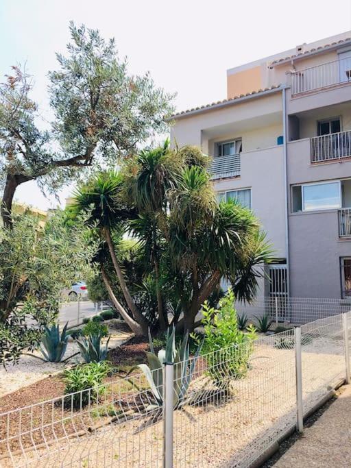 Appartement T2 Au Port De Canet-En-Roussillon - Proche De La Plage Et De L'Aquarium Oniria Экстерьер фото